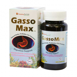 TPBVSK Gasso Max - Hỗ trợ tiêu hóa, ngăn ngừa viêm loét dạ dày