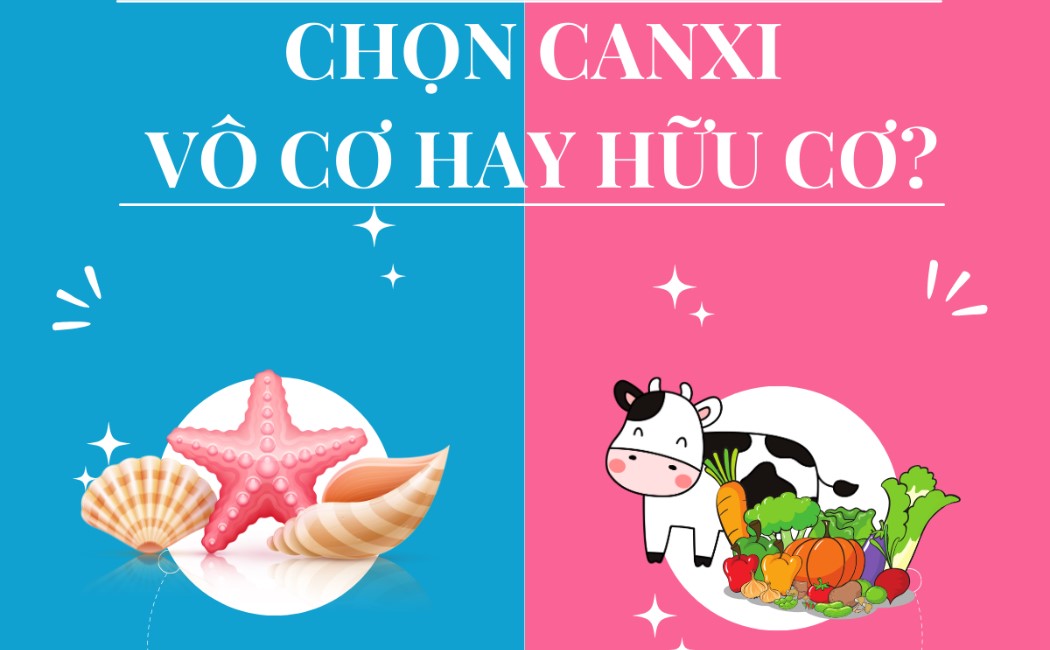 Lựa chọn canxi vô cơ hay hữu cơ