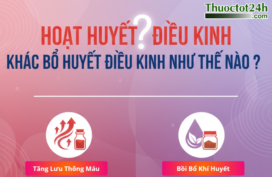 Hoạt Huyết Điều Kinh Khác Bổ Huyết Thế Nào? Phân Biệt Y Học Cổ Truyền